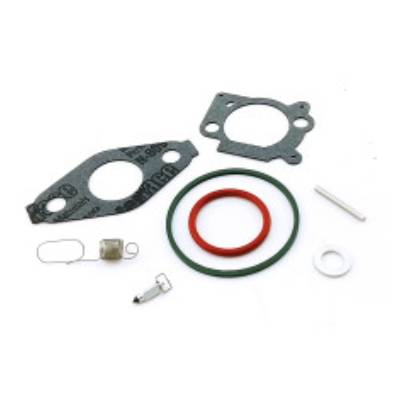 592483 Carburettor Overhaul Kit (Huayi) #