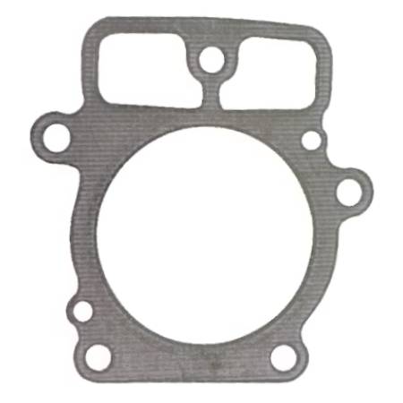 693997 Cylinder Head Gasket