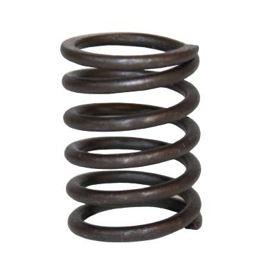 694865 Valve Spring #3