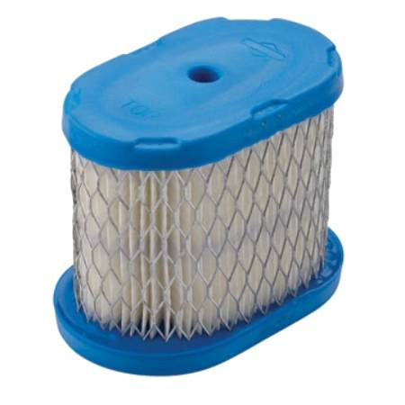 697029 Air Filter/Cleaner