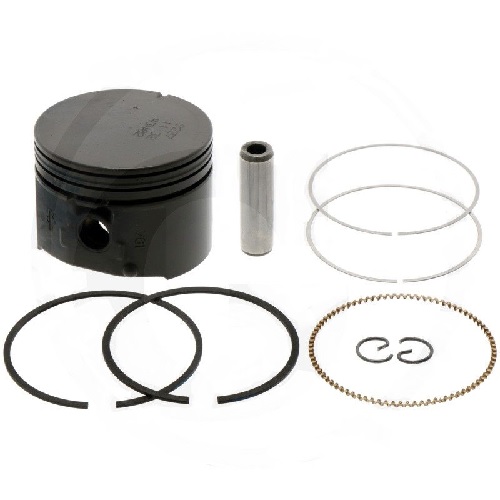 795691 Piston Assy #