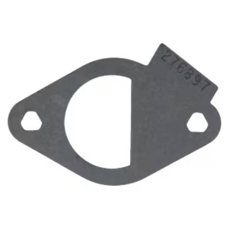 796081 Intake Gasket