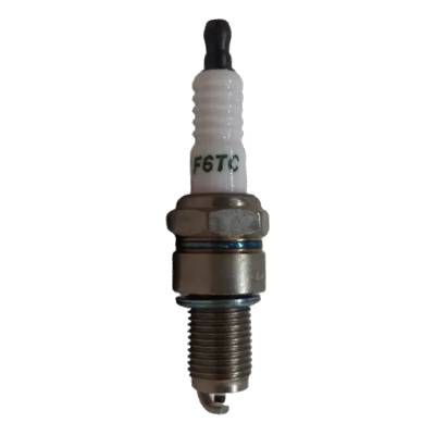 798615 Spark Plug - OHV