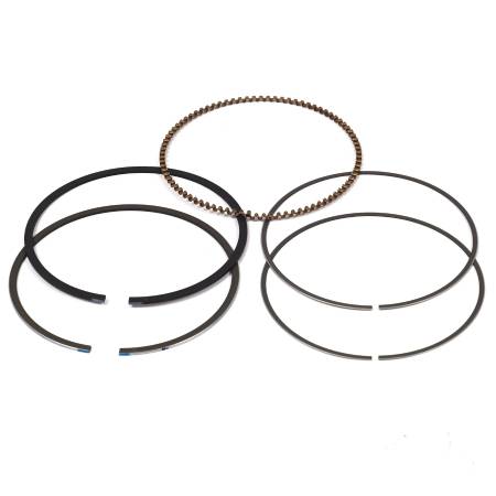 809972 Ring Set - Std #