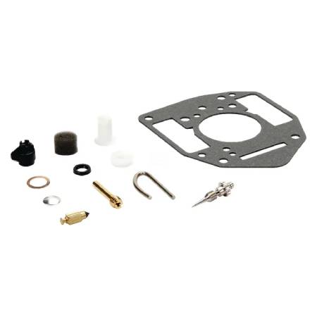 842877 Kit-Carb Overhaul #