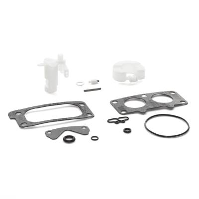 843103 Carburettor Overhaul Kit #