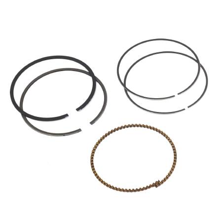 843806 Ring Set #