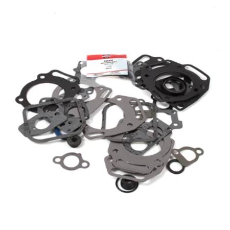 847319 Gasket Set-Engine #