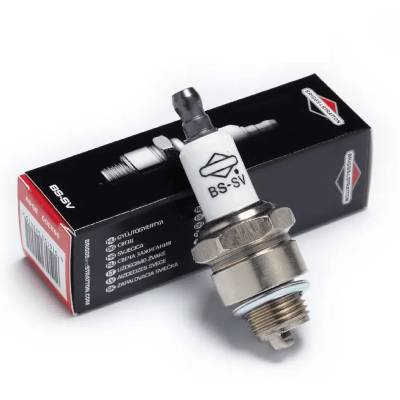 Spark Plugs & Accessories